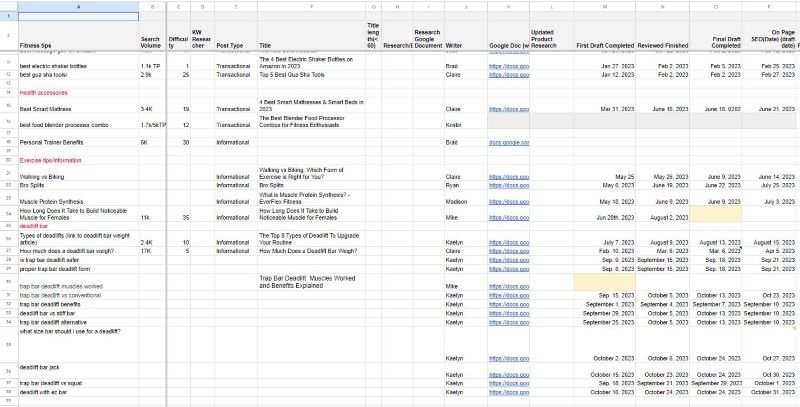 Everflex Fitness Portfolio Google Sheet
