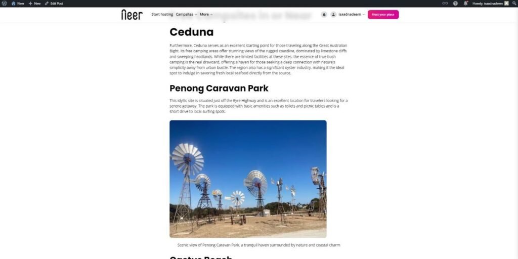 Article Preview Page