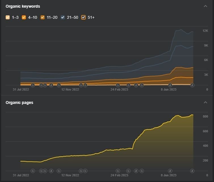 Edwize Results After SEO Strategy